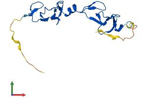 Protein Structure (PS) image for LIM Domain Only 4 (LMO4) (AA 1-165) protein (His tag) (ABIN7556592)
