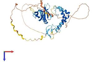 SPRED3 Protein (AA 1-408) (His tag)