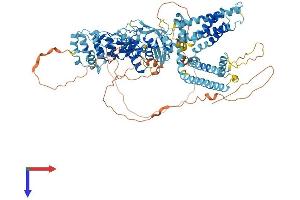 TRPV4 Protein (AA 1-871) (His tag)