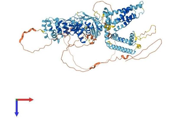 TRPV4 Protein (AA 1-871) (His tag)