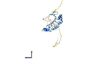 ANP32B Protein (AA 1-272) (His tag)