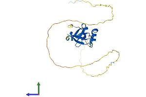 AlphaFold protein structure predicition of Mouse Recombinant Hdgf Protein, UniprotID P51859