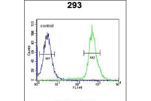 Flow cytometric analysis of 293 cells (right histogram) compared to a negative control cell (left histogram). (TAM41 Antikörper  (AA 180-208))