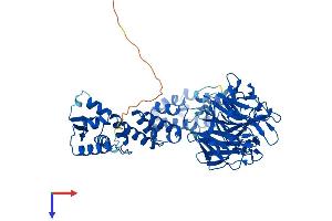 KLHL2 Protein (AA 1-593) (His tag)