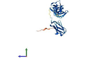 Protein Structure (PS) image for Myosin Binding Protein H-Like (MYBPHL) (AA 1-354) protein (His tag) (ABIN7549276)