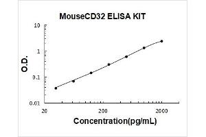 Mouse CD32/FCGR2b/c PicoKine ELISA Kit standard curve