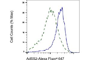 Validation of AdSS2 knockdown using flow cytometry. (Rekombinanter AdSS 2 Antikörper)