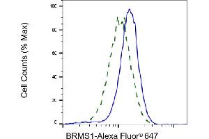 Validation of BRMS1 knockdown using flow cytometry. (Rekombinanter BRMS1 Antikörper)