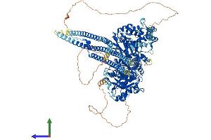 AlphaFold protein structure predicition of Mouse Recombinant Plcb1 Protein, UniprotID Q9Z1B3 (Phospholipase C beta 1 Protein (AA 1-1216) (His tag))