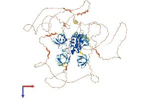 SH3PXD2B Protein (AA 1-908) (His tag)