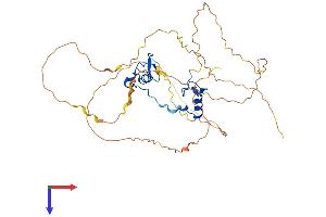 GATA5 Protein (AA 1-397) (His tag)