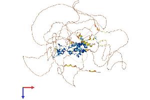 TOPORS Protein (AA 1-1045) (His tag)