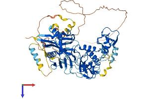 Deltex Homolog 4 Protein (AA 1-616) (His tag)