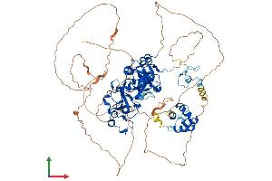 Protein Structure (PS) image for L(3)mbt-Like 1 (L3MBTL1) (AA 1-826) protein (His tag) (ABIN7561864)