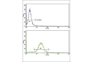 Flow Cytometry (FACS) image for anti-Epsin 3 (EPN3) antibody (ABIN3002666) (EPN3 Antikörper)