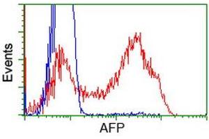 HEK293T cells transfected with either RC206622 overexpress plasmid (Red) or empty vector control plasmid (Blue) were immunostained by anti-AFP antibody (ABIN2452711), and then analyzed by flow cytometry. (alpha Fetoprotein Antikörper)