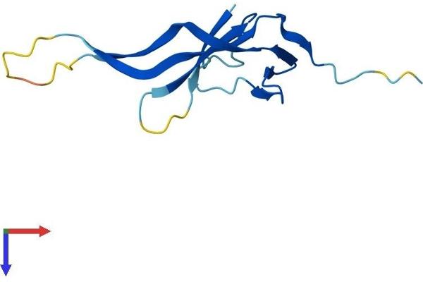 CHTF8 Protein (AA 1-121) (His tag)