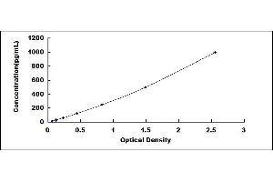 LTB ELISA Kit