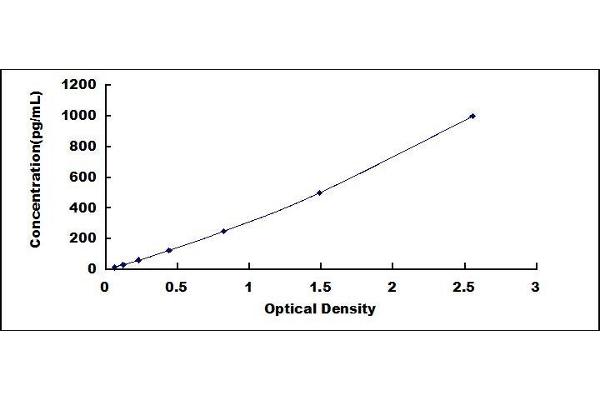 LTB ELISA Kit