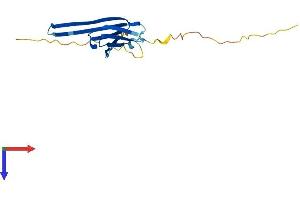 HSPB9 Protein (AA 1-168) (His tag)