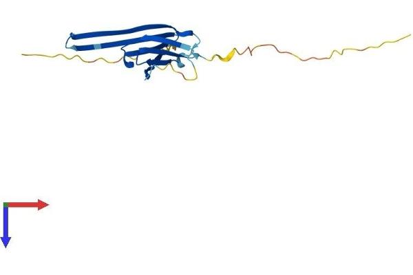 HSPB9 Protein (AA 1-168) (His tag)