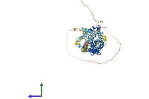 AlphaFold protein structure predicition of Mouse Recombinant Slc10a4 Protein, UniprotID Q3UEZ8