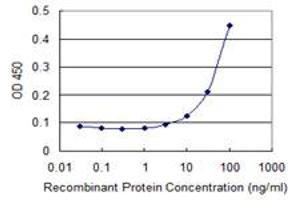Detection limit for recombinant GST tagged MPP5 is 3 ng/ml as a capture antibody. (MPP5 Antikörper  (AA 79-177))