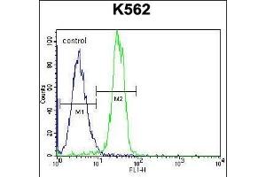 STARD6 Antibody (C-term) (ABIN655777 and ABIN2845214) flow cytometric analysis of K562 cells (right histogram) compared to a negative control cell (left histogram). (STARD6 Antikörper  (C-Term))