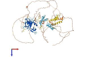 PRDM1 Protein (AA 1-825) (His tag)
