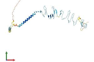 AlphaFold protein structure predicition of Mouse Recombinant Sgcb Protein, UniprotID P82349 (SGCB Protein (AA 1-320) (His tag))