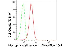 Flow cytometric analysis of Macrophage stimulating 1 expression in HepG2 cells using Macrophage stimulating 1 antibody (ABIN7799315), 1:2,000). (Rekombinanter MST1 Antikörper)