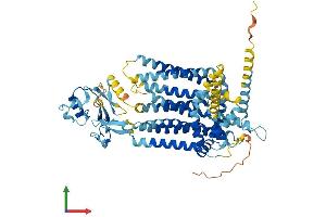 AlphaFold protein structure predicition of Human Recombinant SLC44A3 Protein, UniprotID Q8N4M1