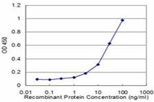 Detection limit for recombinant GST tagged PLK1 is approximately 1ng/ml as a capture antibody. (PLK1 Antikörper  (AA 1-603))