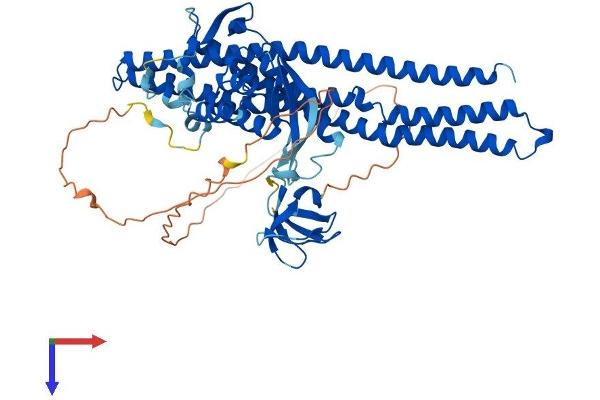 SNX33 Protein (AA 1-574) (His tag)