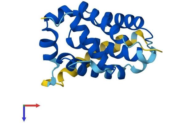 BCL2A1 Protein (AA 1-175) (His tag)