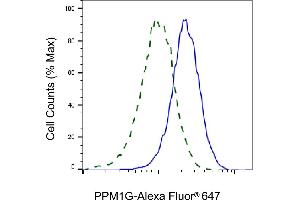 Validation of PPM1G knockdown using flow cytometry. (Rekombinanter PPM1G Antikörper)