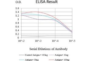 ELISA image for anti-Tumor Necrosis Factor Receptor Superfamily, Member 13B (TNFRSF13B) antibody (ABIN7193609)