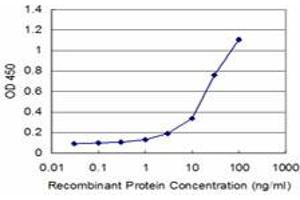 ELISA image for anti-Decapping Enzyme, Scavenger (DCPS) (AA 1-338) antibody (ABIN466201) (DCPS Antikörper  (AA 1-338))