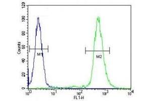 Flow Cytometry (FACS) image for anti-Ribosomal Protein S6 (RPS6) (AA 220-249) antibody (ABIN3032477)