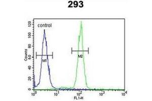 Flow cytometric analysis of 293 cells using OSTA Antibody (C-term) Cat. (OST alpha Antikörper  (C-Term))