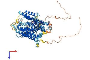 SLC23A3 Protein (AA 1-610) (His tag)