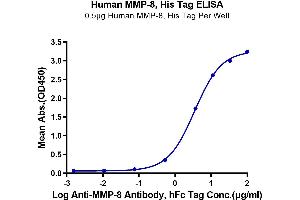 ELISA image for Matrix Metallopeptidase 8 (Neutrophil Collagenase) (MMP8) (AA 21-467) protein (His tag) (ABIN7275269)