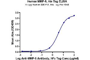 Immobilized Human MMP-8, His Tag at 5 μg/mL (100 μL/well) on the plate. (MMP8 Protein (AA 21-467) (His tag))