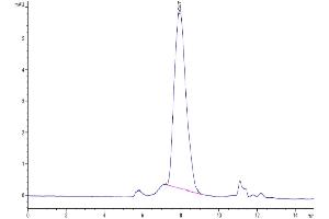 Size-exclusion chromatography-High Pressure Liquid Chromatography (SEC-HPLC) image for Tumor Necrosis Factor Receptor Superfamily, Member 10c (TNFRSF10C) (AA 24-236) protein (His tag) (ABIN7275773)