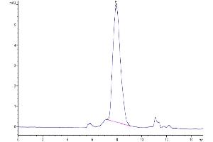 The purity of Human DcR1/TRAILR3 is greater than 95 % as determined by SEC-HPLC.