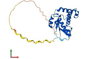 AlphaFold protein structure predicition of Mouse Recombinant Socs1 Protein, UniprotID O35716