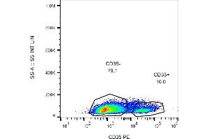 Flow cytometry analysis (surface staining) of CD35 in human peripheral blood with anti-CD35 (E11) PE. (CD35 Antikörper  (PE))