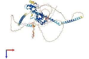 SKIL Protein (AA 1-684) (His tag)