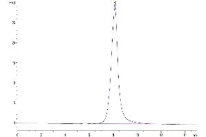Size-exclusion chromatography-High Pressure Liquid Chromatography (SEC-HPLC) image for Tumor Necrosis Factor Receptor Superfamily, Member 13B (TNFRSF13B) (AA 2-166) protein (Fc Tag) (ABIN7275684)