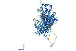 Protein Structure (PS) image for Vav 3 Oncogene (VAV3) (AA 1-847) protein (His tag) (ABIN7555959)